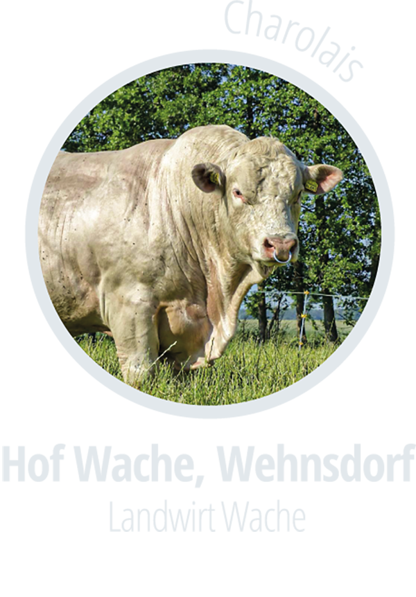 Wache